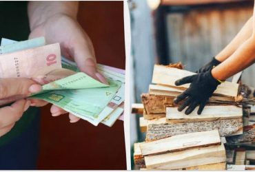 Субсидия на дрова для отопления дома: кто может получить 16 000 гривень