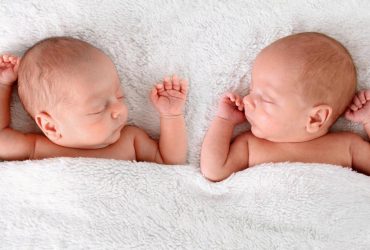 60 млн лет назад наши предки рожали преимущественно близнецов: потрясающее открытие