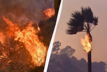 Вогонь знищує престижний район Лос-Анджелеса: оголошено евакуацію (відео)