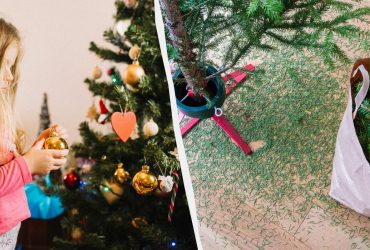 До Старого Нового года или после: когда убирать елку по правилам и приметам