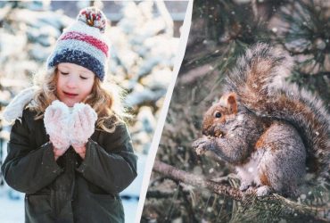 Праздник 13 января 2025: что отмечают в мире и в Украине, запреты и традиции