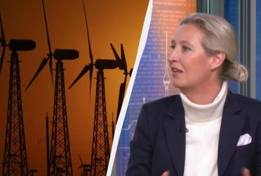 Снести все ветрогенераторы: немецкие ультраправые пообещали запустить Северный поток