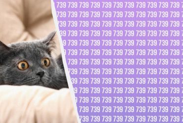 Дуже складна математична ілюзія: впораються лише одиниці