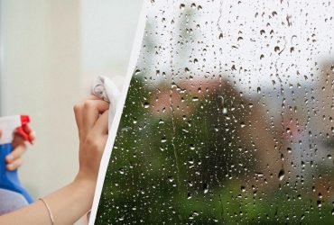 Что делать, чтобы не было конденсата на окнах: эксперт поделилась одним эффективным методом
