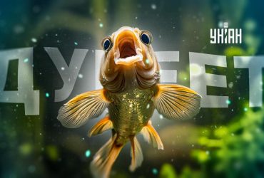 Я дурею с этой прикормки: что значит популярный мем, который разорвал сеть