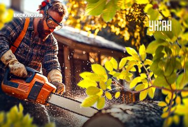 Що робити, якщо потрібно спиляти дерево біля свого будинку: чи можна це зробити самому