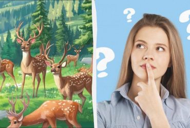 Треба знайти горобця серед оленів за 6 секунд: чарівна головоломка