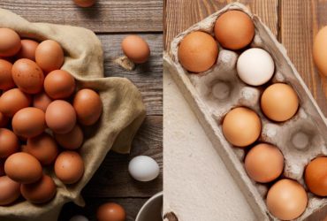 Как лучше всего хранить куриные яйца, чтобы оставались свежими целый год