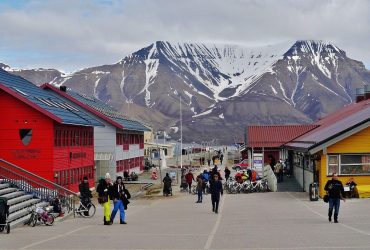 Медведи на улицах и пиво по карточкам: как живет самый северный город планеты