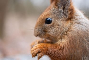 Вторник в Киеве будет теплым, но есть нюанс