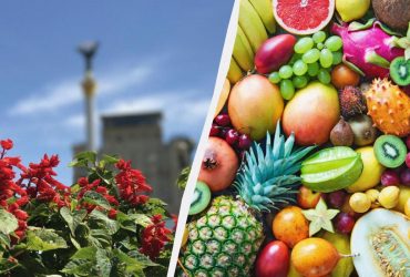 Через зміну клімата вже незабаром Україна зможе вирощувати тропічні фрукти, - метеоролог