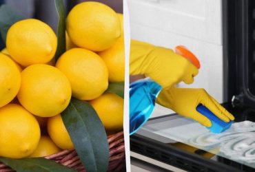 Как быстро почистить духовку от нагара: лайфхак с использованием натурального обезжиривателя