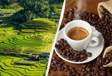 Туристи розповіли, де у світі найсмачніша кава