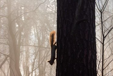 Цього тижня погода в Україні почне змінюватися: до чого готуватися