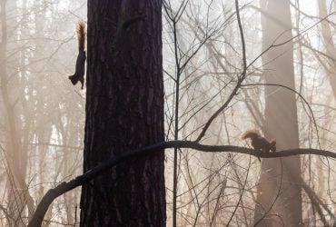 В Укргідрометцентрі розповіли, якої погоди чекати 3 грудня