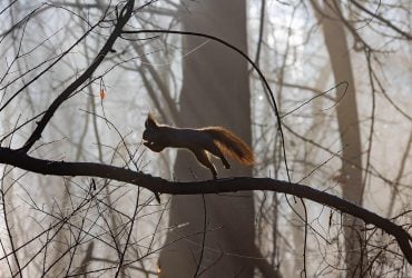 Сегодня в Киеве прохолодает: почти весь день будет минус