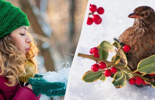 Не можна хвалитися і скупитися: як уникнути біди у свято 3 січня 2025