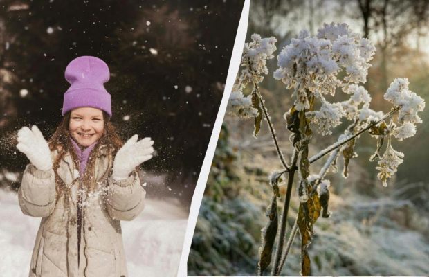 Яке свято відзначаємо 11 січня 2025: цікаві факти, що потрібно і не можна робити