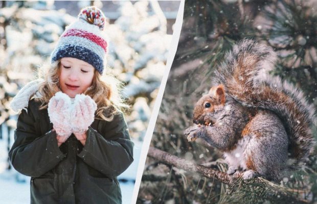 Свято 13 січня 2025: що відзначають у світі та в Україні, заборони та традиції