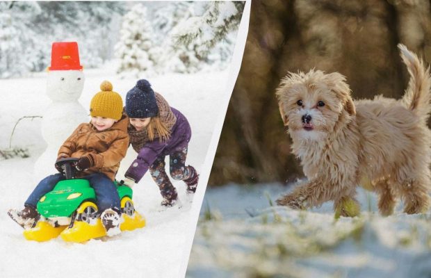 Що відзначаємо 17 січня 2025: свята в Україні та у світі, традиції та заборони