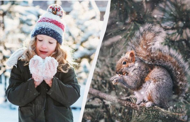 Що відзначаємо 19 січня 2025: свята в Україні та у світі, що заборонено робити