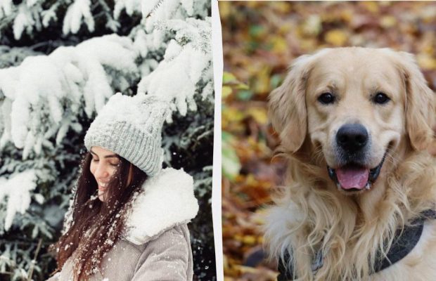 Що треба зробити в домі - будете щасливі весь рік: прикмети на свято 3 лютого