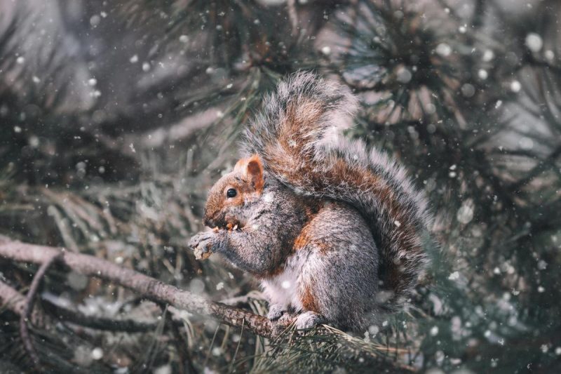 Что за праздник сегодня / фото pexels.com