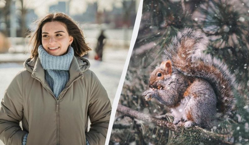 Что сегодня за праздник / коллаж УНИАН, фото pexels Что сегодня за праздник / коллаж УНИАН, фото pexels