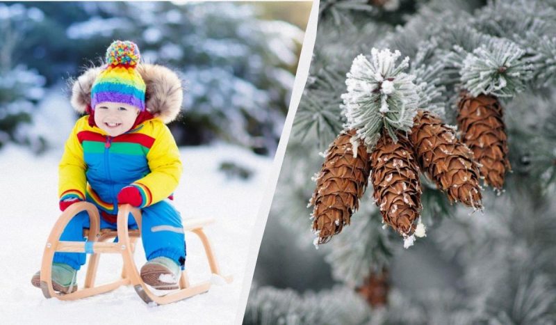 Что сегодня за праздник / коллаж УНИАН, фото ua.depositphotos.com, pixabay Что сегодня за праздник / коллаж УНИАН, фото ua.depositphotos.com, pixabay