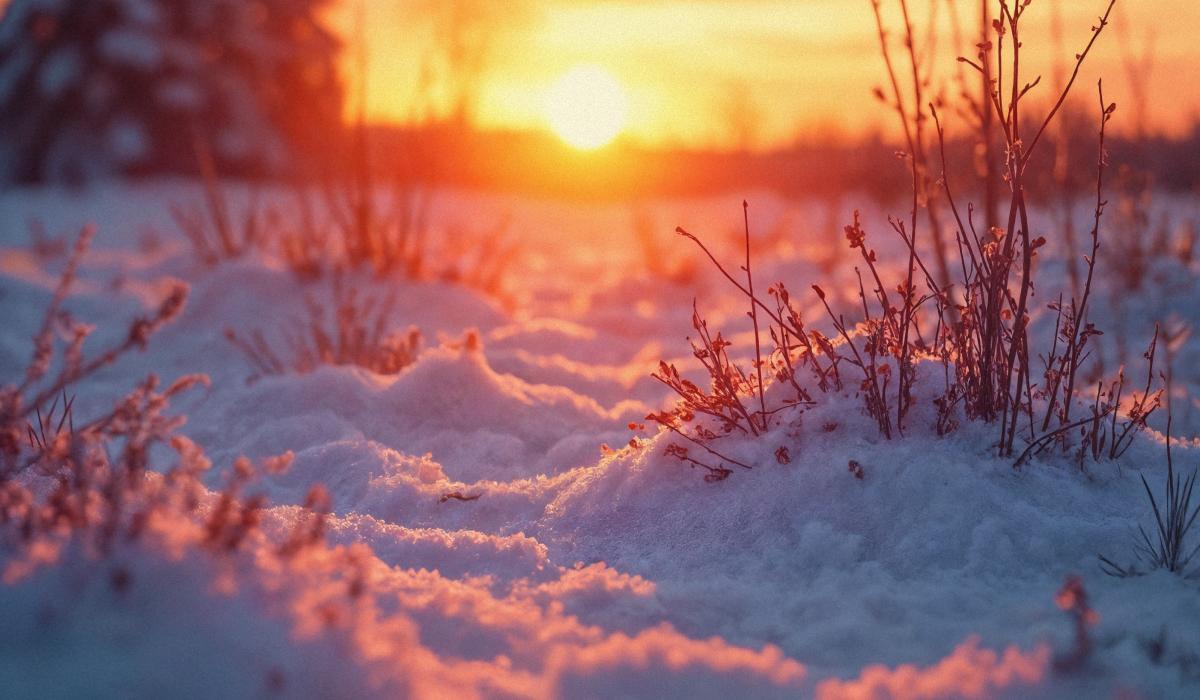 20 січня українців потішить зимове сонце, але тепла воно не додасть