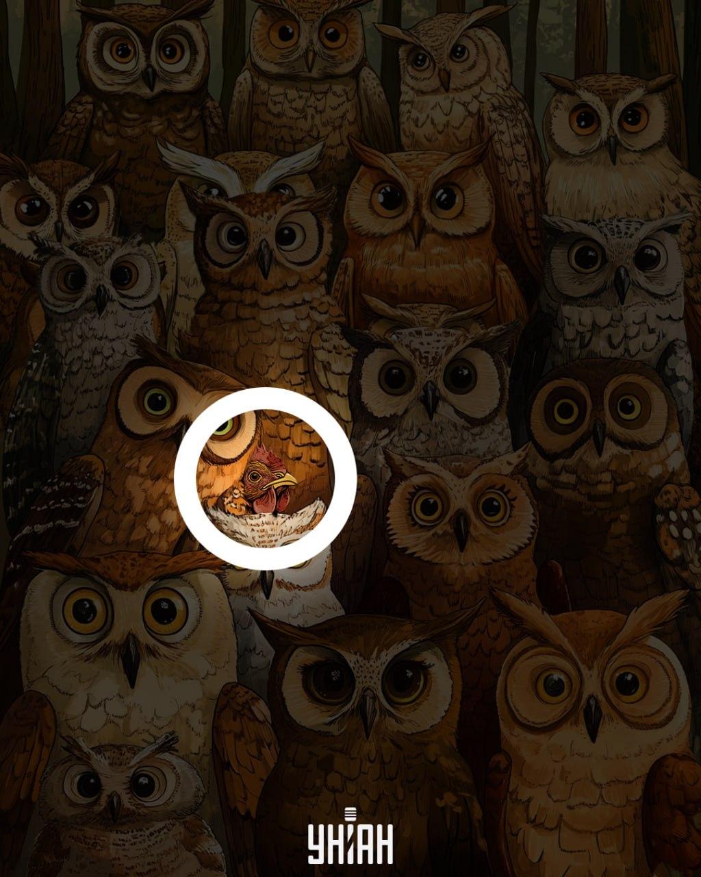 колаж УНІАН колаж УНІАН