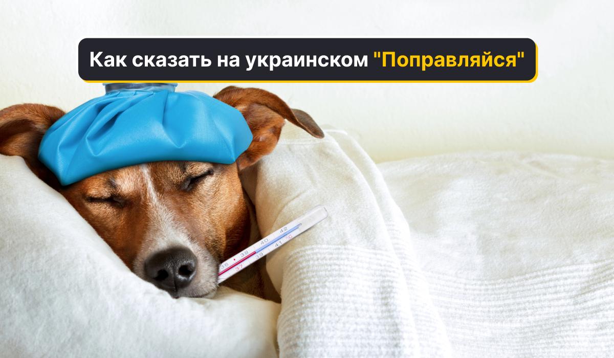 Как будет на украинском "поправляйся" / коллаж УНИАН Как будет на украинском "поправляйся" / коллаж УНИАН