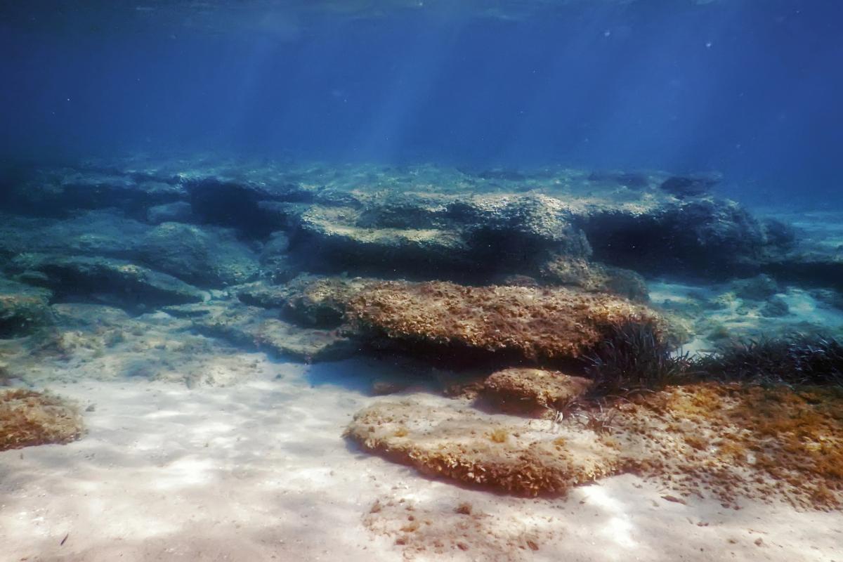 / фото ua.depositphotos.com / фото ua.depositphotos.com