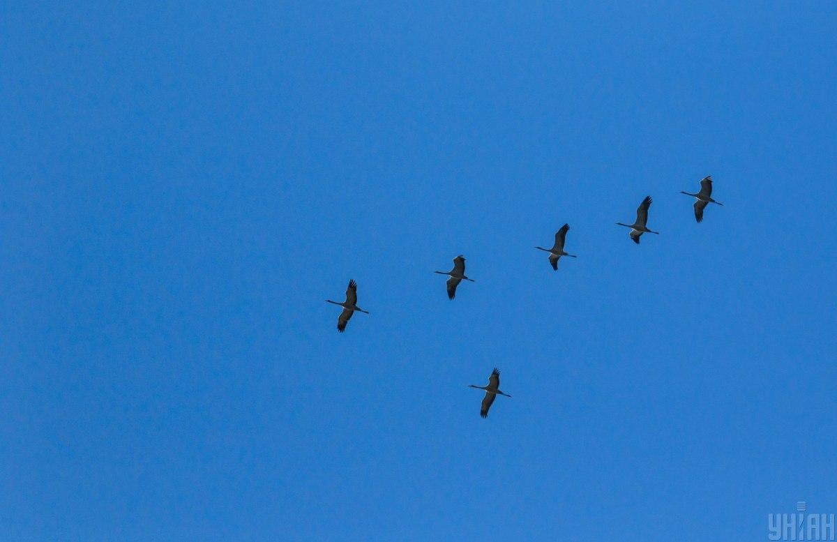 Первая неделя весны стартует в Украине с 12-градусного тепла