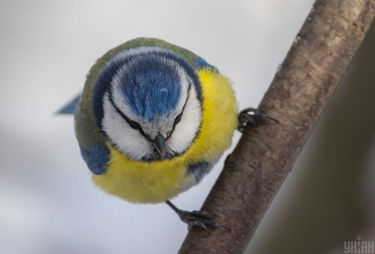 Аномальный холод уже пройден: в Украину мчится долгожданное потепление на 5-7 градусов