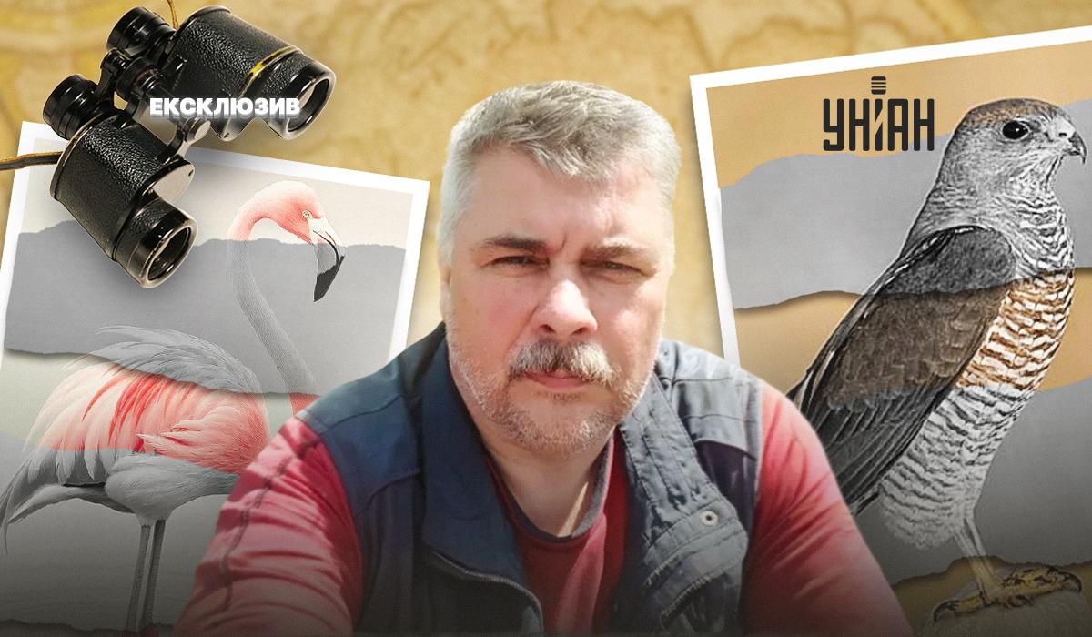 'Через війну деякі червонокнижні птахи зникають з України - переселяються до РФ, бо там спокійніше, ніж на лінії фронту', - орнітолог Олександр Пономаренко