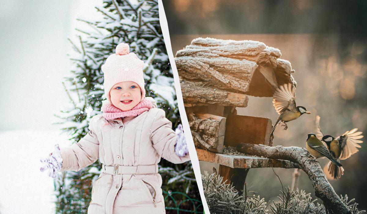 Что сегодня за праздник / коллаж УНИАН, фото pexels Что сегодня за праздник / коллаж УНИАН, фото pexels