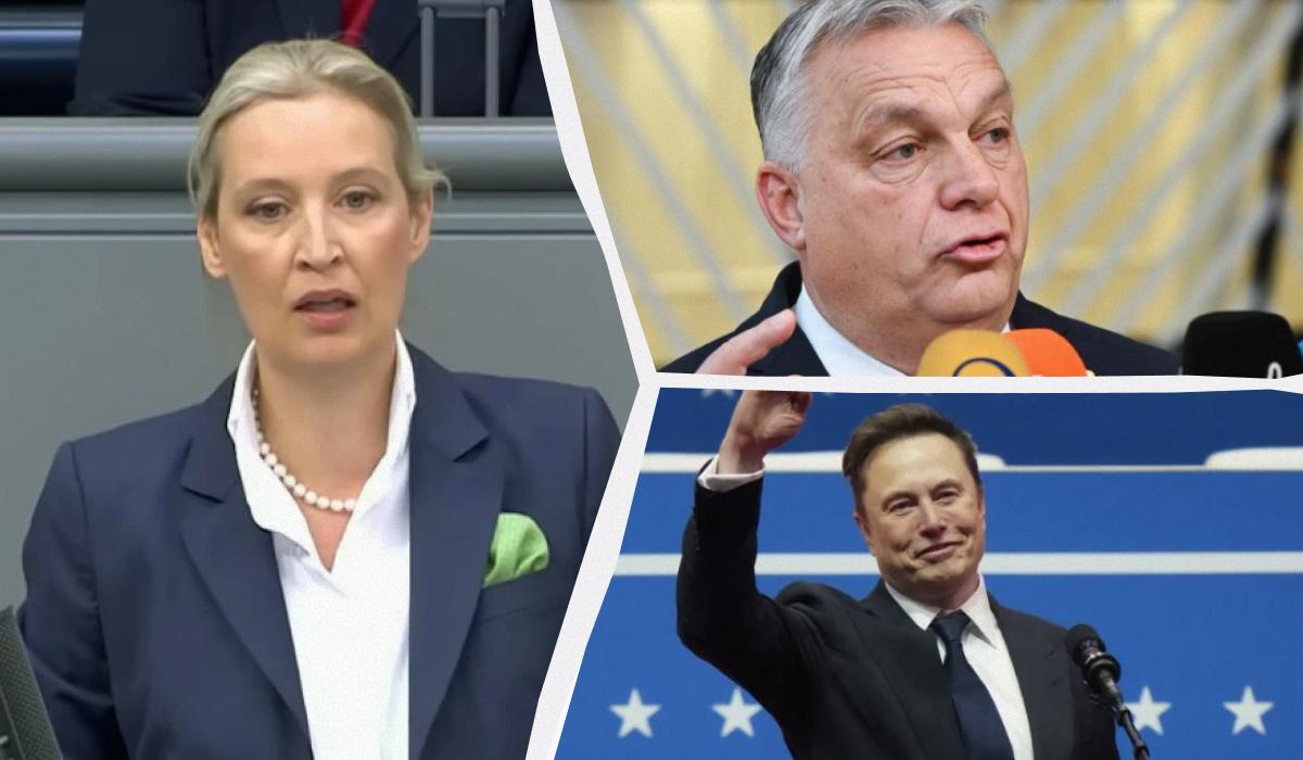 Вайдель отримала привітанні від Орбана й Маска, хоч посіла на виборах друге місце / Колаж УНІАН, скриншот, фото European Union, GettyImages Вайдель отримала привітанні від Орбана й Маска, хоч посіла на виборах друге місце / Колаж УНІАН, скриншот, фото European Union, GettyImages