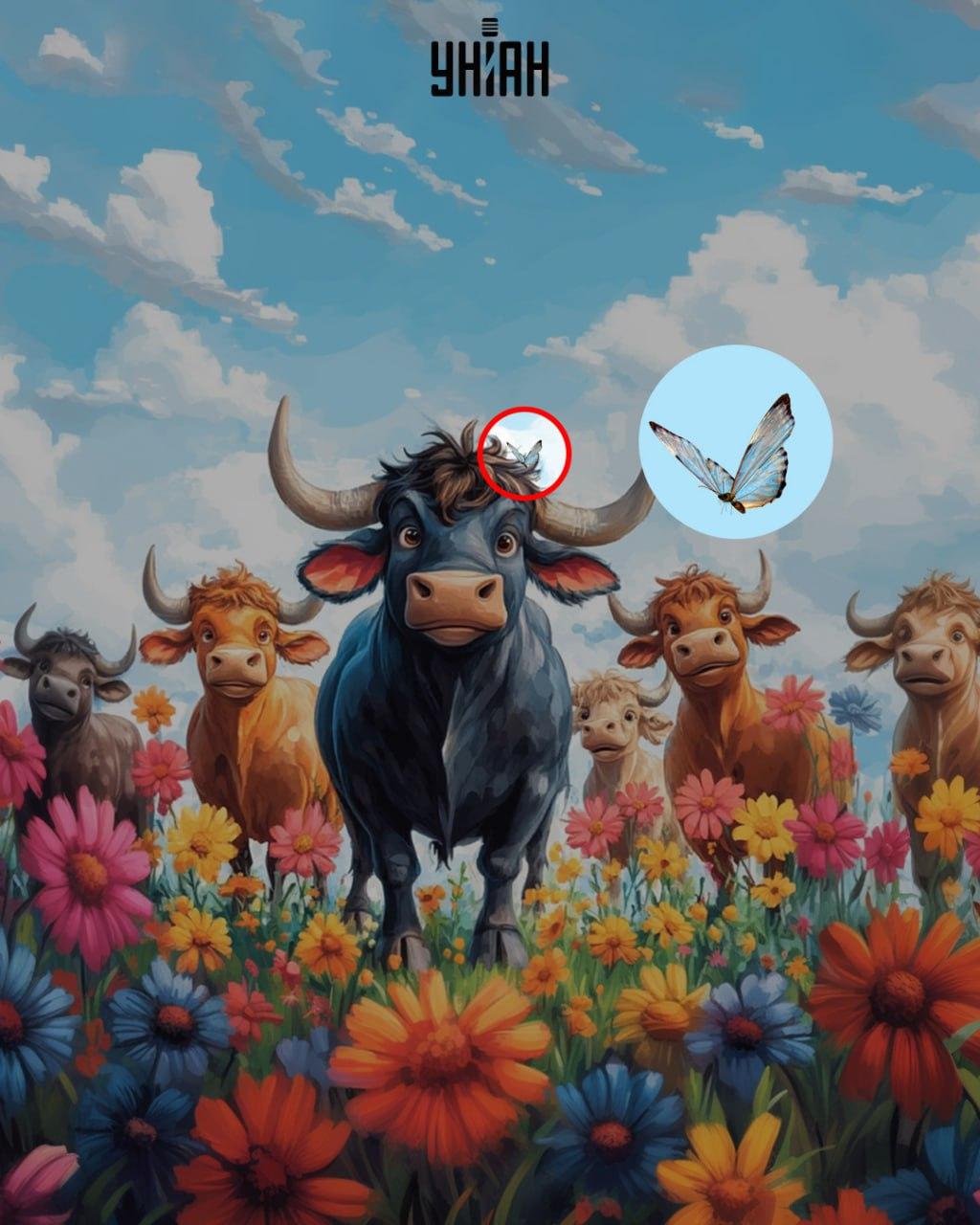 УНІАН УНІАН