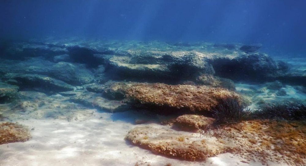 Вчені 10 років спостерігали за дном океану: те, що вони побачили, їх вкрай стривожило