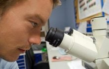 Ученые тестируют назальный препарат, который может бороться с раком поджелудочной железы