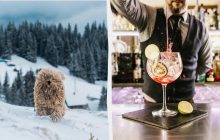 Не можна нічого позичати - залишитеся без гроша: що заборонено у свято 6 лютого