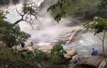 Гибнут растения и существа: ученые обнаружили опасную "кипящую" реку в лесах Амазонки