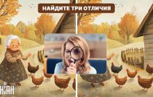 Только очень внимательные найдут 3 отличия на картинке за 8 секунд: сложная головоломка