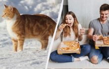 Що вважається великим гріхом сьогодні: головна заборона у свято 9 лютого 2025