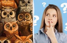 Все видят сов, а надо найти курицу за 7 секунд: удивительная оптическая иллюзия