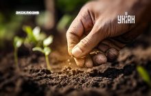 Чи можна вже висаджувати насіння в землю або краще почекати весни: нюанси теплої зими