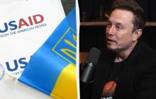 Ілон Маск поширив фейк про "купівлю" зірок Голлівуду заради рейтингів Зеленського