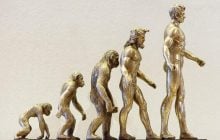 Чому люди втратили шерсть у процесі еволюції і що отримали натомість: пояснення біолога