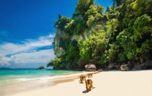 Чим замінити переповнений Пхукет: менш відомі, але не менш мальовничі острови Таїланду